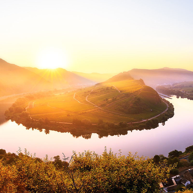 Bwv Leitbild Praeambel