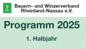 Programm 1. Hj. 2025 Bild 300x172