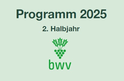 Programm 2. HJ